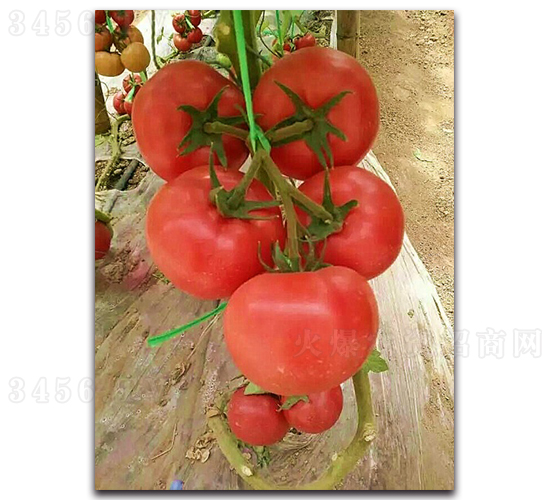 ����208-��������-³����ҵ