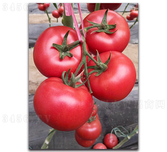 ����108-��������-³����ҵ
