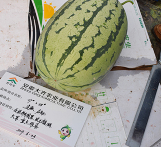 ����378-��������-����ũҵ