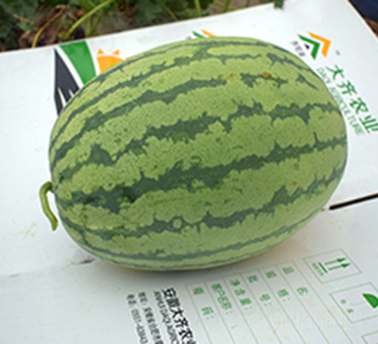 ˫��218-��������-����ũҵ