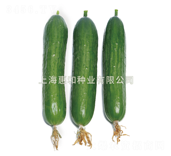 ����03-�ƹ�����-�ݺ���ҵ