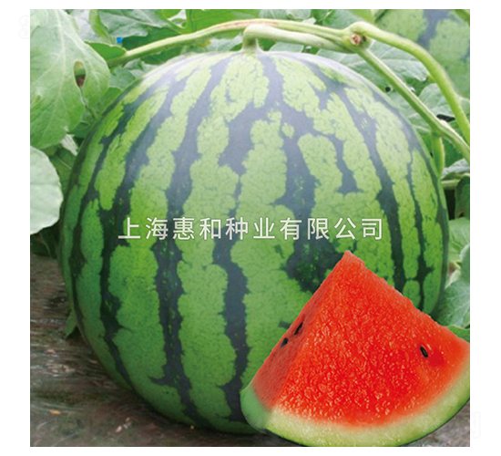 δ��08-��������-�ݺ���ҵ