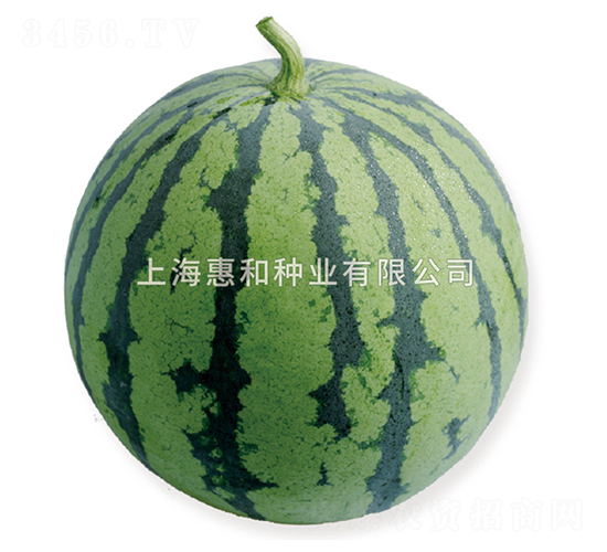 �޷�-��������-�ݺ���ҵ