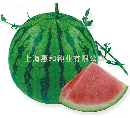 ���8424-��������-�ݺ���ҵ