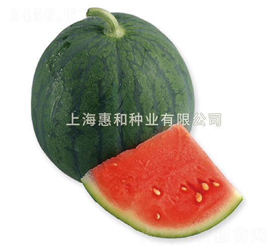 ����-��������-�ݺ���ҵ
