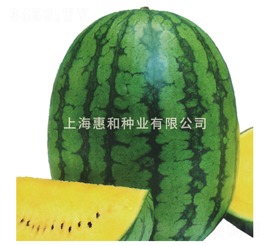 �紺����-��������-�ݺ���ҵ