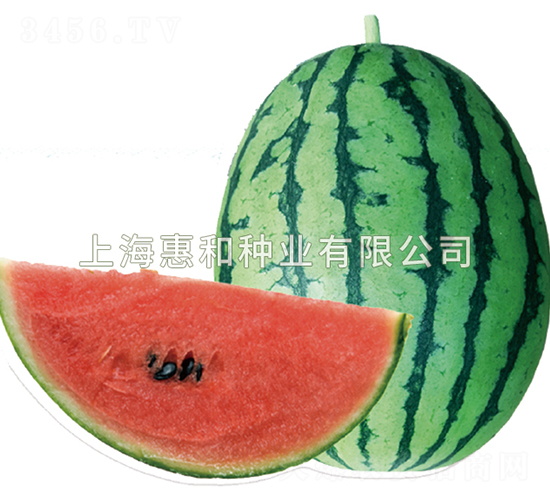 ����-��������-�ݺ���ҵ