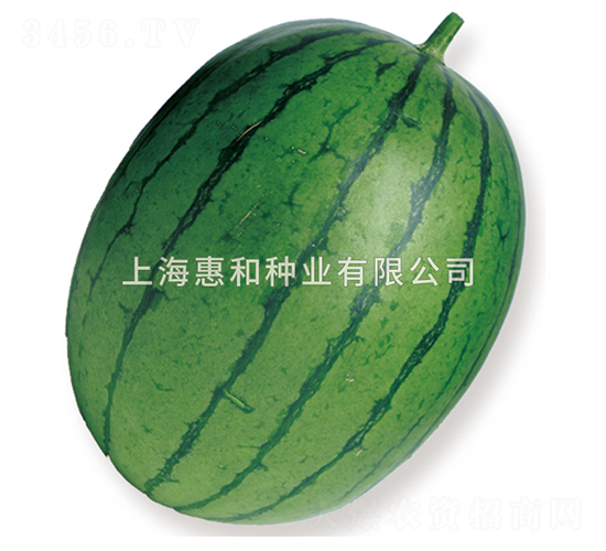 ���ͷɺ촬-��������-�ݺ���ҵ