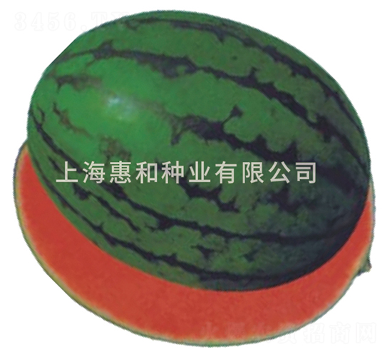 ����-��������-�ݺ���ҵ