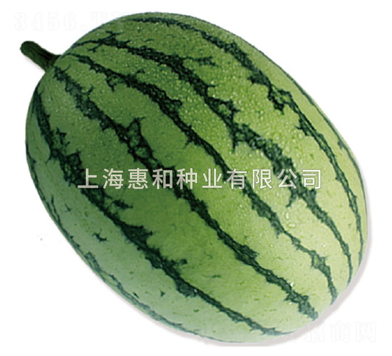 �紺�������-��������-�ݺ���ҵ
