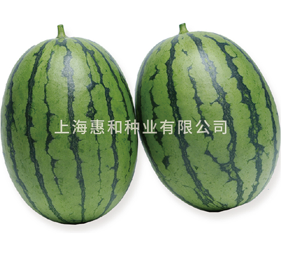 �紺����-��������-�ݺ���ҵ