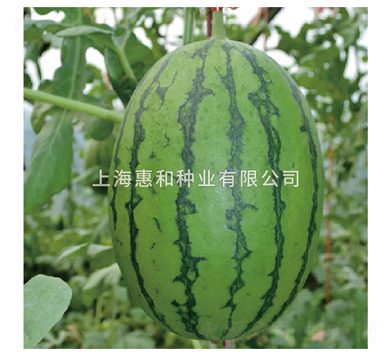 ���Ǵ���-��������-�ݺ���ҵ