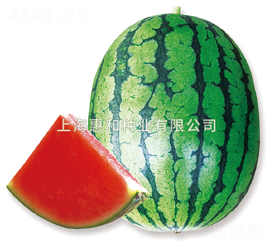 ����ǰ��-��������-�ݺ���ҵ