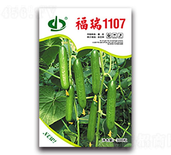 ����1107-�ƹ�����-��������