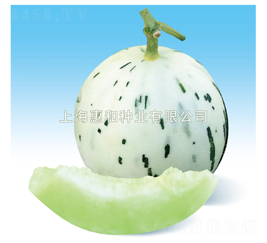 ��¶-�������-�ݺ���ҵ