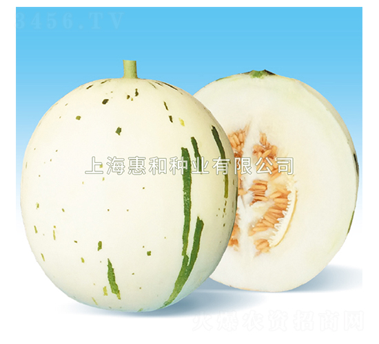 ��¶-�������-�ݺ���ҵ