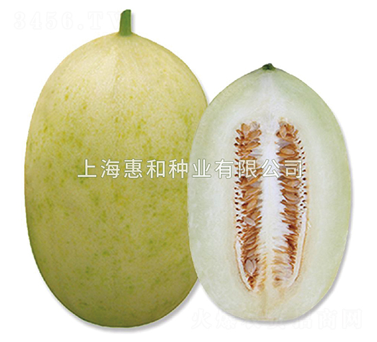 ����-�������-�ݺ���ҵ