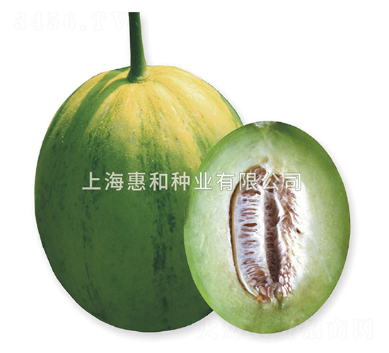 ˼��-�������-�ݺ���ҵ