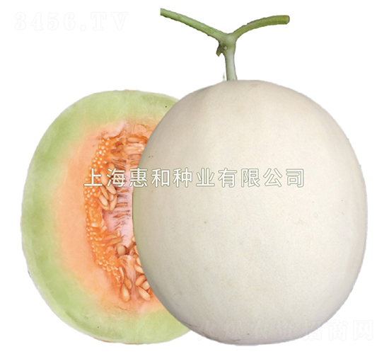 ���-�������-�ݺ���ҵ