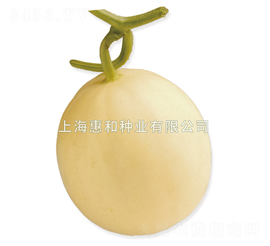 ������������-�������-�ݺ���ҵ