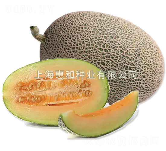 ����0526-�������-�ݺ���ҵ