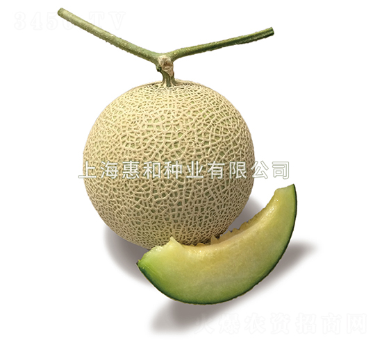 ����867-�������-�ݺ���ҵ