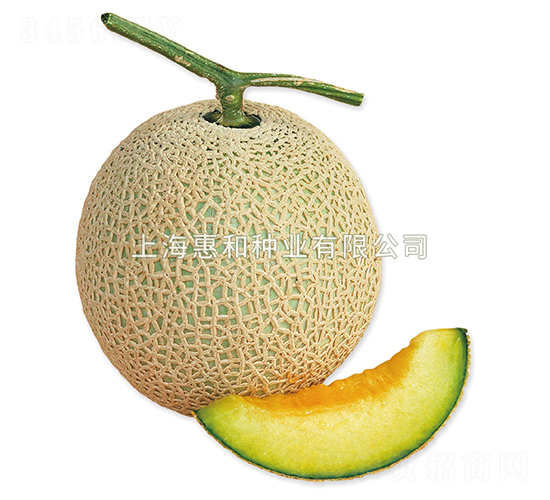 �ظ�-�������-�ݺ���ҵ