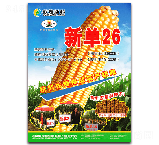 �µ�26-��������-��ʥ��