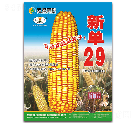 �µ�29-��������-��ʥ��