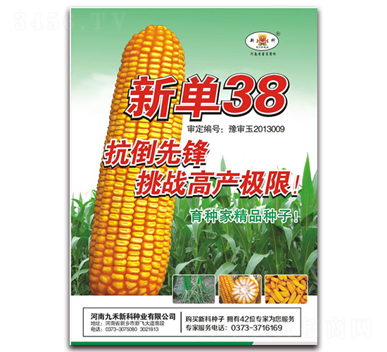 �µ�38-��������-��ʥ��