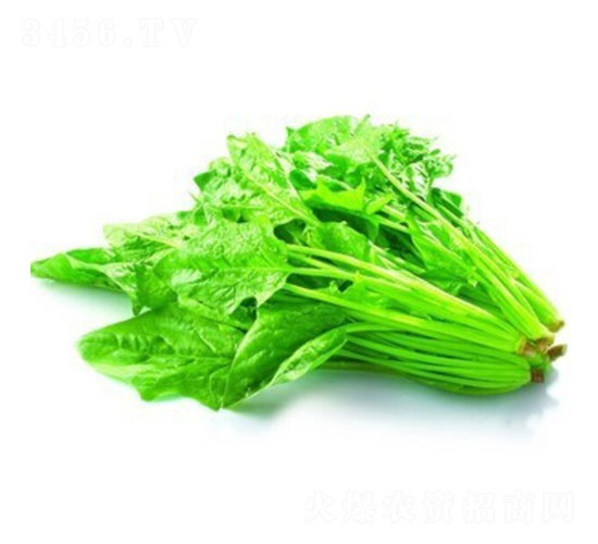 ��ż�Ҷ�󲤲�-��������-���ũҵ