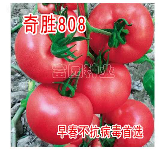 ��ʤ808-��������-��԰��ҵ