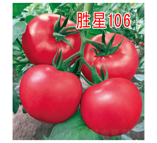 ʤ��106-��������-��԰��ҵ