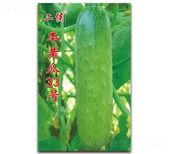 ���ƹ�33��-˿������-��������