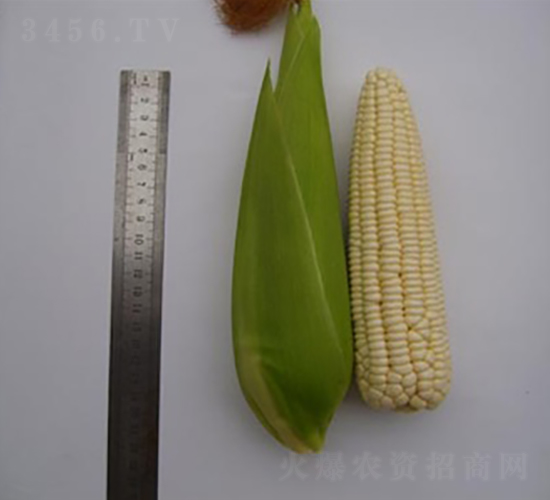 ����Ŵ202-Ŵ��������-��������