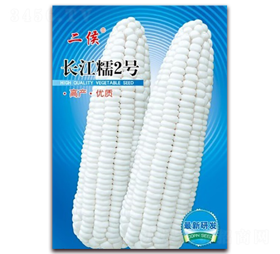 100g����Ŵ2��-Ŵ��������-��������