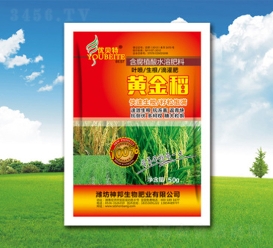 �ƽ�Ҷ���-�������