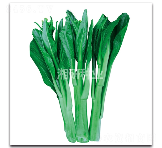 ����޷�ߺ�-Ҷ������-������ҵ