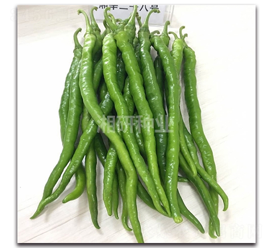 ����28-�߽�����-������ҵ
