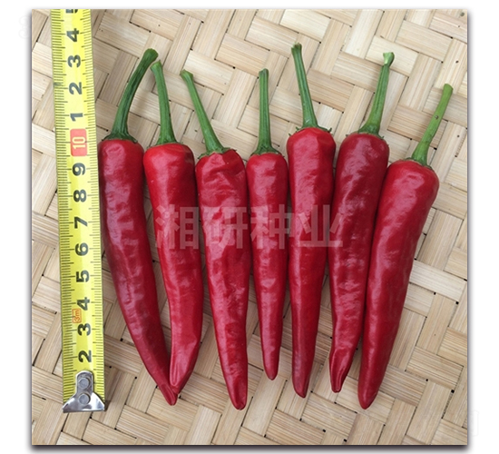 �ɺ�-���콷����-������ҵ