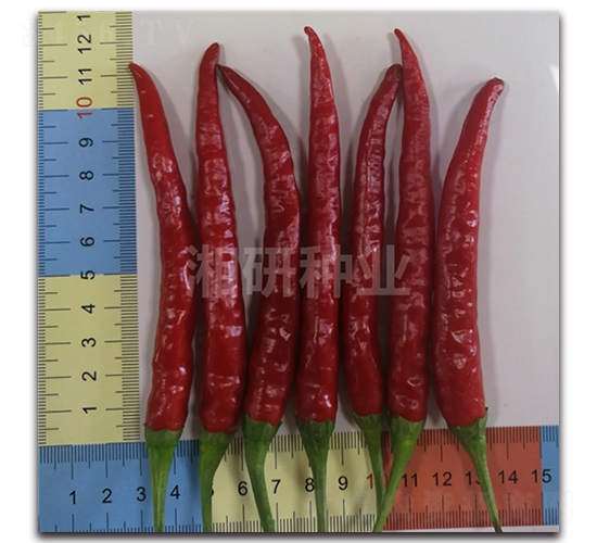 ����708-���콷����-������ҵ