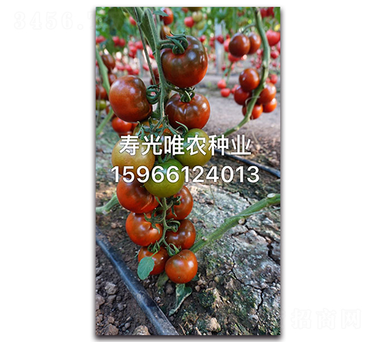 ��õ��F1-ӣ�ҷ�������-Ψũ��ҵ