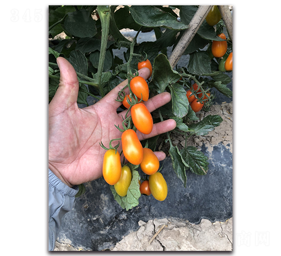 �ƾ�3��-������������-Ψũ��ҵ