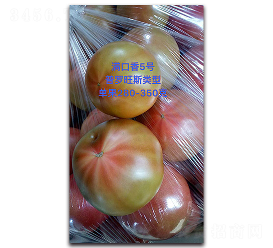 ������5��-��������-Ψũ��ҵ