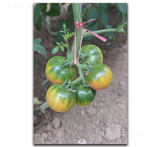 ����201-��������-Ψũ��ҵ