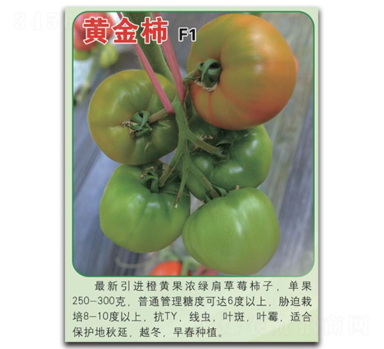 �ƽ���-��������-Ψũ��ҵ