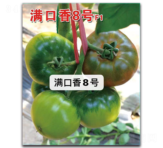 ������8��-��������-Ψũ��ҵ