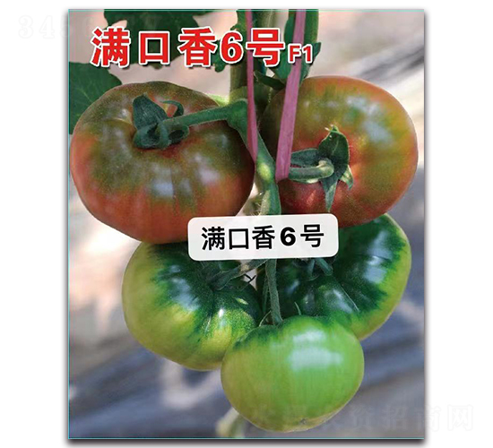 ������6��-��������-Ψũ��ҵ