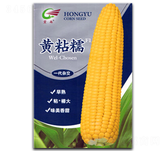 ��ճŴ-Ŵ��������-����