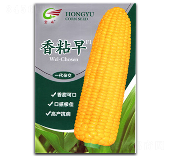��ճ��-Ŵ��������-����